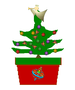 The Site Fights Growing XMas Trees
